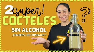 ✅ ¿Como Hacer Cocteles SIN ALCOHOL Para Fiestas ¿CONOCES LOS CORDIALES PIÑA COLADA sinalcohol [upl. by Anitsua622]