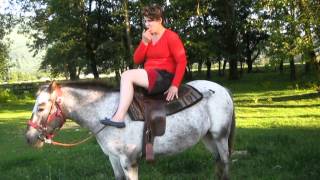 How To Adjust stirrups girth From in Saddle [upl. by Nirtiac193]