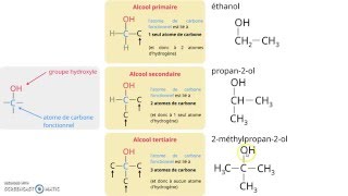 Primaire secondaire tertiaire les classes des alcools [upl. by Ahsiekin503]