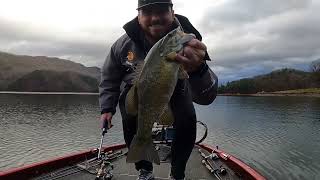 Watauga lake bass fishing [upl. by Avraham]