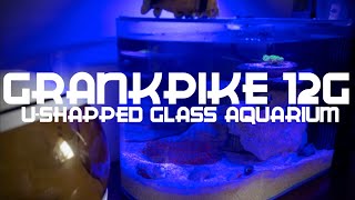 GankPike 12 Gallon UShaped Low Iron Aquarium Review and Unboxing [upl. by Carlen303]