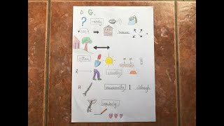 Talk for Writing  Map Tales How to write a letter with generalisers EYFS amp KS1 [upl. by Hartzke755]