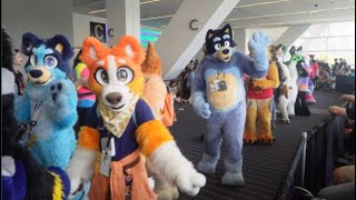 Anthrocon 2024 Fursuit Parade  3371 FURRIES  Inside View [upl. by Gerrald87]