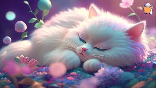 Music for Nervous Cats  Soothing Sleep Music Deep Relaxation Music  Sleepy Cat [upl. by Mary414]