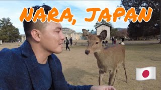 Japan Vlog 10 TRAVELING TO NARA JAPAN [upl. by Colin]