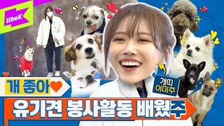 EN ⚠감동 주의⚠ 개천재 이미주🐾 봉사하다 눈물 흘린 이유는💦  미주  MIJOO  런웨이2  LEARN WAY 2  EP28 [upl. by Ragouzis71]