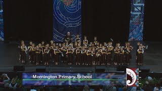 Mornington Primary School  Otago Polyfest 2017 [upl. by Ellene23]