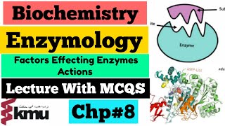 What are Enzymes [upl. by Zeuqirdor]