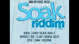 Soak Riddim Mix Dr Bean Soundz2012 Inna Mi House Music [upl. by Zurc]