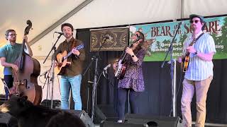 Cup of Joe  Bear on the Square 2024  Mandolinist David Benedict [upl. by Klos]