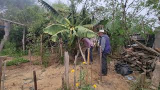 Me cayo encima todo el Peso de el Plátano [upl. by Rew]