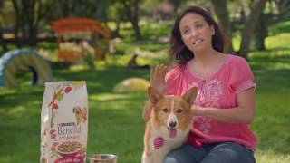 Beneful Dog Food with Real Beef as 1 Ingredient [upl. by Kathlin]