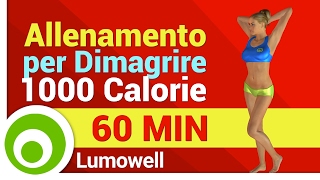 Allenamento Completo per Dimagrire e Tonificare il Corpo  Esercizi per Bruciare 1000 Calorie a Casa [upl. by Ellevehc]