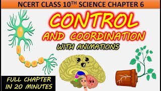 Control and Coordination with Animation Class 10 Science Chapter 6 NCERT CBSE Full chapter One shot [upl. by Nylhtac514]