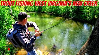 Trout Fishing West Virginias New Creek [upl. by Alleuqahs636]