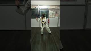 taekwondo koryo poomsae [upl. by Gnut]