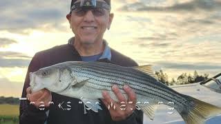 California Delta Fishing  Topwater  Swim Baits  working fishing stripedbass [upl. by Yeca]