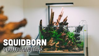 5 Gallon Nano Aquarium Setup [upl. by Ajnat]