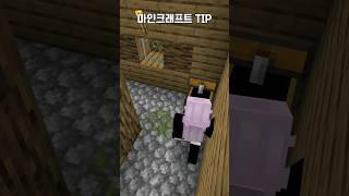 마인크래프트 꿀팁 리즘아사랑해 minecraft 주민 [upl. by Aronoh]