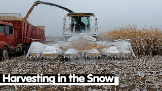 Harvesting in the Snow and A Dumped Wagon [upl. by Niwroc]