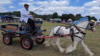 Chertsey show 2024 light trade class [upl. by Jochebed]