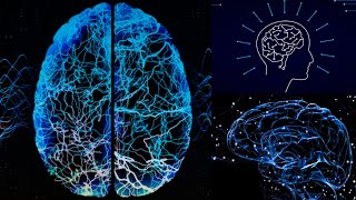 HIGHER MENTAL FUNCTION ASSESSMENT  PHYSIOLOGY PRACTICALS  CNS EXAMINATION [upl. by Azile]