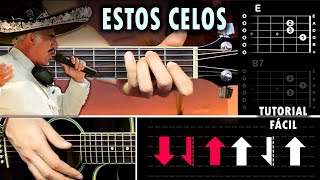 Estos Celos  Vicente Fernández GUITARRA Tutorial  Acordes [upl. by Licastro]