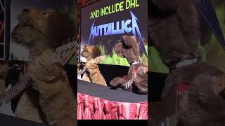 the underdogs show is touring wackentv Coachella dogs maryborough herveybay toowoomba [upl. by Ace]