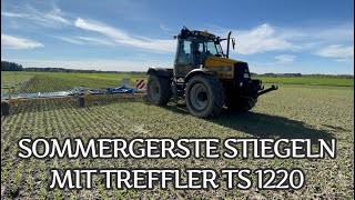 Sommergerste striegeln mit Treffler TS 1220 am JCB [upl. by Aynwad]