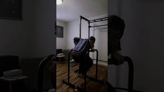 Training Back Everyday Day 658 Dips and Pullups [upl. by Shirley]