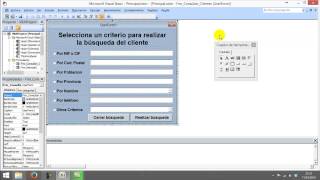 11  Buscar clientes en access por varios criterios [upl. by Marquita]