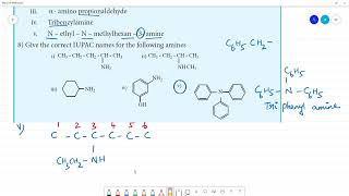 Draw the structure of the following compounds i Neopentylamine ii Tert – butylamine [upl. by Trueblood818]