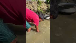 Amazing Hand Fishing Videos  Smart boy catching fish by hand from mud water [upl. by Iidnarb]