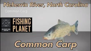 Fishing Planet Common Carp Neherrin River North Carolina [upl. by Dnaltruoc]