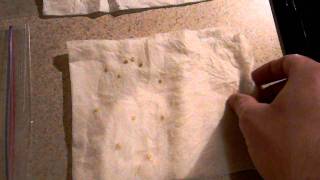 How To Germinate Seeds in a Paper Towel [upl. by Kaela]