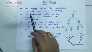 Tree Topology in Computer Networking CN class 11 in Telugu [upl. by Eirojram976]