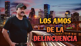 Los Narcos De La Delincuencia PELICULA COMPLETA © 2016 ALDAMACINETV [upl. by Nitsug]