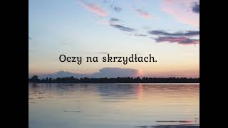 Oczy na skrzydłach [upl. by Ellemac755]