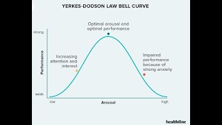 You need to know YerkesDodson Law to perform better [upl. by Suolkcin486]