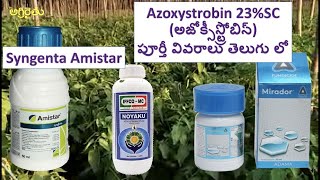 62 Biostadt Roko FungicideThiophanate Methyl 70WPపూర్తి వివరాలు ఈ వీడియోలో [upl. by Eissirk291]