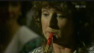 Mary Bergin Tin Whistle [upl. by Nesto400]