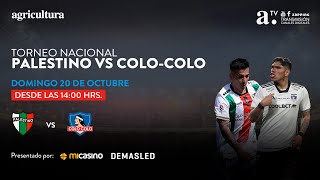 Palestino vs ColoColo  Torneo Nacional  Fecha 28  20102024 [upl. by Fergus]