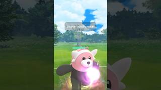 Bear Hugs Beartic Bewear Pangoro vs Team Rocket Pokémon GO [upl. by Arelc]