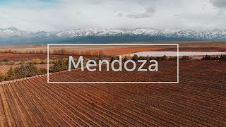 Mendoza  4k Drone video [upl. by Lihkin679]