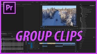 How to Group Clips in Premiere Pro CC 2018 [upl. by Ayortal55]