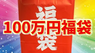 『ポケカ100万円福袋』買ってきた【開封動画2023】 [upl. by Arbas717]