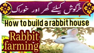 Rabbit farmingRabbit hutchRabbits cage and its food [upl. by Nilok]