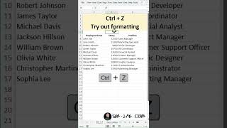 Excel Shortcut Ctrlz applications excel [upl. by Zalea]