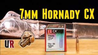 TESTED Hornady 7mm 150 grain CX Bullets wBallistics Gel 7mm Rem Mag [upl. by Ponce]