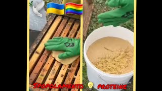 Apicoltura alimentazione proteica delle api 🕊🇺🇦🏳️‍🌈🌈 [upl. by Anahpos]